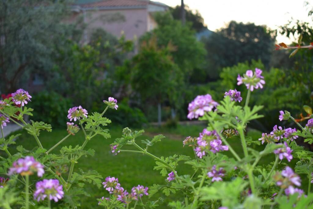Villa Sunset Lefkas Agios Ioannis  Exteriör bild